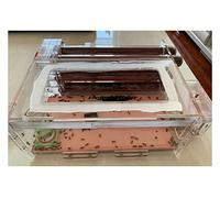 Ant breeding box,Ant Farm,6 Tube Design Ant Nest DIY Acrylic Ant Farm With Rubbish Area Box Ants House For Queen Ant Laying Eggs Anthill Workshop Pet Mania Villa