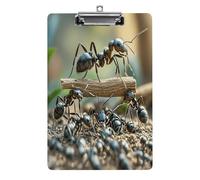 Ant Bridge Print Acrylic Clipboard 8.5 X 12.5 Inches | Lightweight A4 Clipboards with Pen Holder for Office, Students, Nurses, Teacher, Students,Women, Men, Girls, Boys