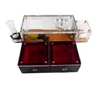 Ant Castle Ecological Learning Box - Ant Farm Habitat to Learn Ant Life, Anthill Science Education Kit for Kids Pet house