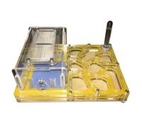 Ant Castle Farm - Ant Nest Breeding Box Habitat for Ant Colonies, Transparent Ant House for Observation Ant Habitat(Gelb)