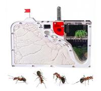 Ant Castle Habitat Nest Kit: Interactive STEM Science Observation Tool for Family(S12)
