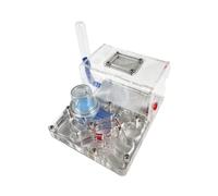 Ant Castle Terrarium, Acrylic Ant Castle Ant Farm Habitat Science Observation Kit With Multicolor 15cm(Clear)