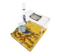 Ant Castle Terrarium, Acrylic Ant Castle Science Observation Kit With Multicolor Viewing Area 15x12x7.5cm(Yellow)
