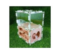 Ant Castle Terrarium, Ant Farm Castle Habitat Science Learning Kit Gypsum Acrylic Multicolor 10.7x7.6x12.5cm(Red)