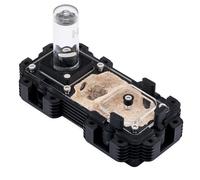 Ant Dimension Ant Farm Natura Module 2:1 - Perfect for Queens and Small Colonies - Professional Formicarium, Modular and Adaptable to Many Species (White)