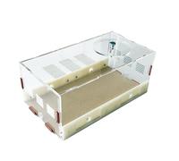 Ant Ecological Feeding Box, Ant Nest Workshop, Suitable For Students To Explore And Learn(Big feeding)