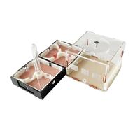 Ant Ecological Feeding Box, Ant Nest Workshop, Suitable For Students To Explore And Learn(Set 3)