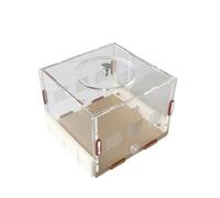 Ant Ecological Feeding Box, Ant Nest Workshop, Suitable For Students To Explore And Learn(Small feeding)