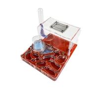 Ant Farm Acrylic Ant Castle Breeding Moisturizing Nest Scientific Observation DIY Nest Habitat House(Rosso)