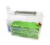 Ant Farm Acrylic Ant Castle Large Capacity Ant Workshop Pet Ant Nest Farm Ant Farm Formicarium(Grün)