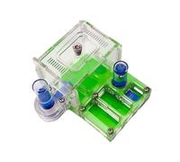 Ant Farm Ant Castle Acrylic Flat Panel Nest Farm With Hydrating Pool Activity Area Ant Castle(Grün)