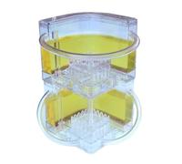 Ant Farm Ant Castle Ant Habitat Ant Farm Ideas Ant Nest Farm Watch Ants Dig Their Own Ant House Tunnels Formicarium(Yellow)
