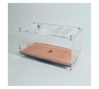 Ant Farm Ant Castle Ecological Box Farm Science Education Learning Set Nest Research Ecosystem Habitat(Activity Area)