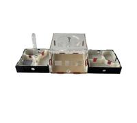 Ant Farm Ant Castle Habitat Science Popularization Learning Set Farm Study Behavior Habitat