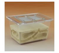 Ant Farm Ant Castle Research Ecosystem Farm Small Tetrahedral 5.1x3.5x3.1 Inches Nest Nest Habitat House