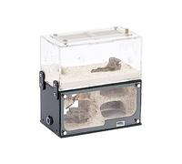 Ant Farm Ant Farm Box Concrete Ant Nest W/Water Tower Clear Acrylic Ant Castle Anthill Workshop Transparent and Visible Educational Formicarium Live Ants and Queen