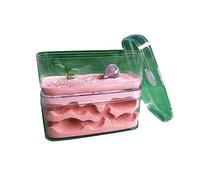 Ant Farm Ant Farm Box Creative Ant Plaster Nest Maze Plastic Ant Workshop Villa Ant Habitat Science Learning Kit for Live Ants Live Ants and Queen