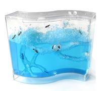 Ant Farm Ant Farm Clear Ant Castle Family Study Ant Behavior Ant Nest Farm Ant Habitat Formicarium