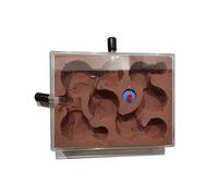 Ant Farm Ant Farm Habitat Ecological Ant Plaster Nest Plastic Concrete Ant Workshop Anthill Science Toys for Kids & Adults Live Ants and Queen