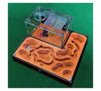 ant farm， Ant Farm Nest Acrylic Ecological Insect House Kit Queen Breeding Castle Pet