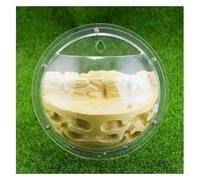 ant farm, Ant Farm Nest Ants House Insect Terrarium, Semi-circular Hanging Suitable For Science Education Tool(Yellow)