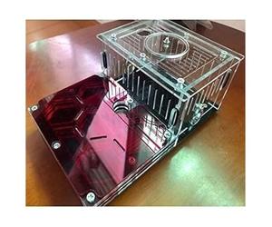 ant farm， Ant Farm Nest Black Base Plane Castle Acrylic Study Behavior Explore The World At Home House