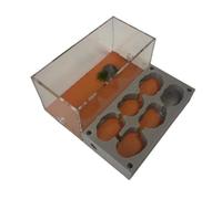 ant farm, Ant Farm Nest Castle Clear And Queen Habitat Learning Kit House