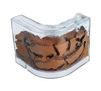 ant farm， Ant Farm Nest Castle Filled Clay Sand Habitat Professional House