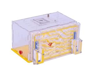 ant farm, Ant Farm Nest Castle Scientific Observation Interested In Feeding House(B)