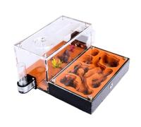 ant farm， Ant Farm Nest House Study Of Behavior Terrarium Educational Formicarium For Ants