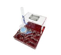 Ant Farm Ant Farm Nest Kit for Kids and Adults Acrylic Ant Workshop W/Water Tower & Visor Transparent Ant House Habitat for Home & School Live Ants and Queen