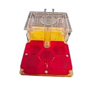 Ant Farm Ant Farm Plane Castle Acrylic Nest Study The At Home And School Nest Habitat House