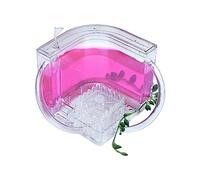 Ant Farm Ant Farms Castle for Kids & Adults Acrylic Ant Nest Observation Kit Habitat Educational & Learning Science Kit Toy Live Ants and Queen