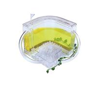Ant Farm Ant Farms Castle for Kids & Adults Acrylic Ant Nest Observation Kit Habitat Educational & Learning Science Kit Toy Live Ants and Queen