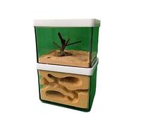 Ant Farm Ant Nest Farm Acrylic Plaster Ant Castle Ant Formicarium Transparent Ant House Workshop Insect Villa for Ants Study Science Experiment Gift Live Ants and Queen