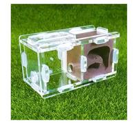 Ant Farm Ant Nest Farm Science Experiment Formicarium Insect Nest For Science Education Tools Formicarium(Bruin)
