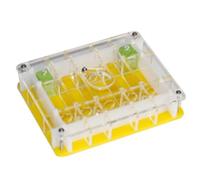 Ant Farm Ant Nest Pets Ant Living Space Ant Ant Holder Ant Farm Science Toy Science Observe Breeding Supplies Formicarium