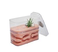 Ant Farm Castle - Easy To Observe Plaster Ant Terrarium House