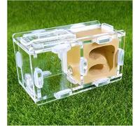 Ant Farm Castle Ecological Ant Nest Farm Colony Observation Kit Science Experiment Formicarium Insect Nest for Science Education Tools(Yellow)