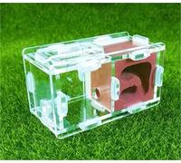 Ant Farm Castle Ecological Ant Nest Farm Colony Observation Kit Science Experiment Formicarium Insect Nest for Science Education Tools(Red)