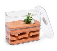Ant Farm Castle, Transparent PC and Plaster Ant Terrarium, 12 x 6 x 10 cm | Dry and wet nest areas allow humidity choice while the clear housing supports easy observation of ant activity