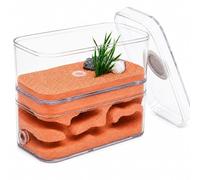 Ant Farm Castle Transparent Plaster Ant Terrarium House | PC shell and gypsum nest with dry and wet areas for observing tunnelling, feeding and ant activity.