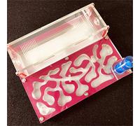 Ant Farm Educational formicarium for LIVE ants test tube Moisture big space Acrylic Ant Nest,Insect ants Villa House Ants Ecological Workshop (Pink)