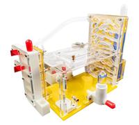 Ant Farm Habitat Educational Acrylic Nest House Villa for Home School Students Science Learning Tool