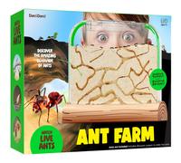 Ant Farm Kit for Kids - Ants Farms Colony - Includes Ant Voucher - Sand Habitat Kits - Bug Terrarium House - Educational Science Gifts for Kids - Natu