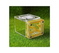 Ant Farm Small Ant Farm Nest Cube Form Acrylic Mini Ant Habitat Science Learning Kit 3D Maze Ecosystem for Kids Study Ants, 7.7 * 6 * 5.3cm Live Ants and Queen