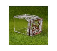 Ant Farm Small Ant Farm Nest Cube Form Acrylic Mini Ant Habitat Science Learning Kit 3D Maze Ecosystem for Kids Study Ants, 7.7 * 6 * 5.3cm Live Ants and Queen