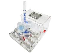 Ant Farms Ant Castle Acrylic Flat Surface Farm With Hydrating Pool Activity Area Science Experiment Kit(White)