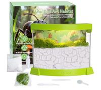 ant Farms for Kids