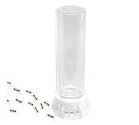 Ant Feeder, Transparent Water Bowls, Pet Farm Station, Non-Slip Feeding Base, Hydration Supply for Indoor Ant Nest Maintenance Habitat Accessories, 3.94x1.18x1.18 Inches
